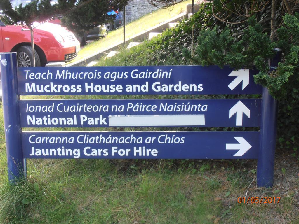 Larkfield House B&B, Ballycasheen Kerry V93 Wd51 Killarney Exterior foto